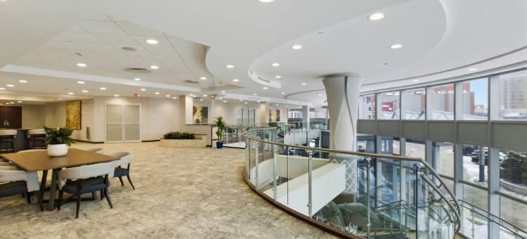 布法罗希尔顿安泊酒店(Embassy Suites by Hilton Buffalo)图片