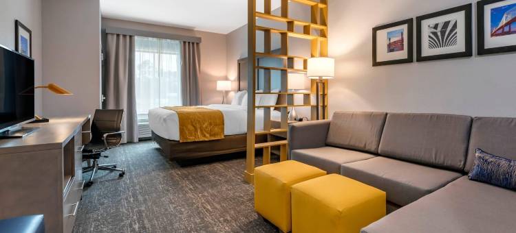 舒适酒店和套房 - 杰克逊维尔橙园靠近海军航空站(Comfort Inn & Suites Jacksonville - Orange Park Near Naval Air Station)图片