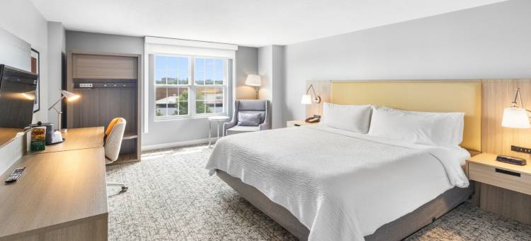 尚迪利杜勒斯世博机场假日酒店(Holiday Inn CHANTILLY-DULLES EXPO (ARPT) by IHG)图片