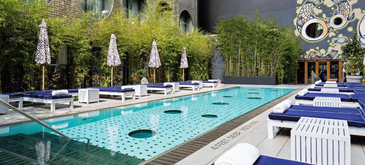凯悦Dream市中心酒店(Dream Downtown by Hyatt)图片