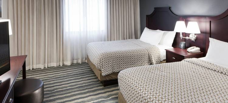 坦帕布兰登希尔顿大使套房酒店(Embassy Suites by Hilton Tampa Brandon)图片
