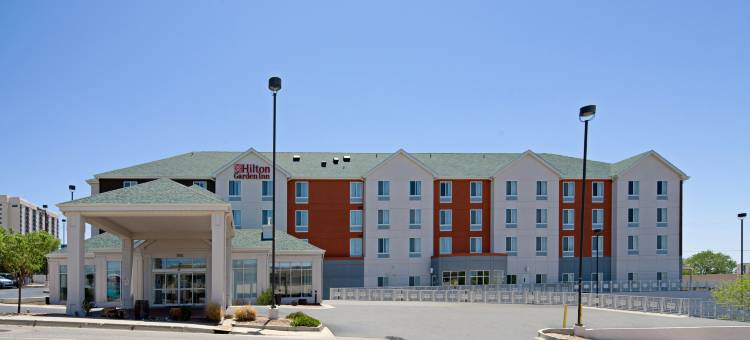 阿尔伯克基机场希尔顿花园酒店(Hilton Garden Inn Albuquerque-Airport)图片