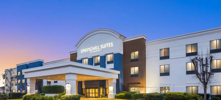 莫德斯托万豪SpringHill酒店(SpringHill Suites Modesto)图片