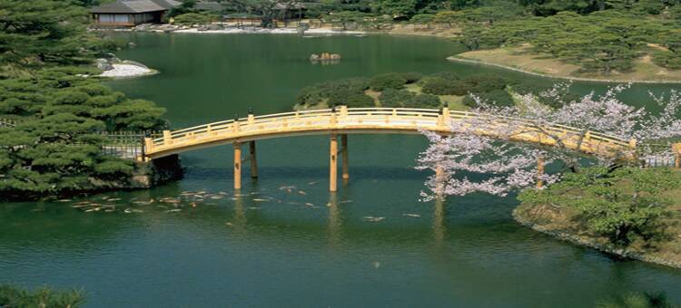 高松典藏酒店(The Celecton Takamatsu)图片