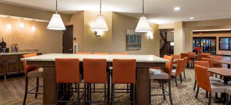 舒适套房酒店(Comfort Suites)图片