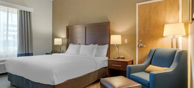 舒适酒店-梅卡尼克斯堡哈里斯堡南区(Comfort Inn Mechanicsburg - Harrisburg South)图片