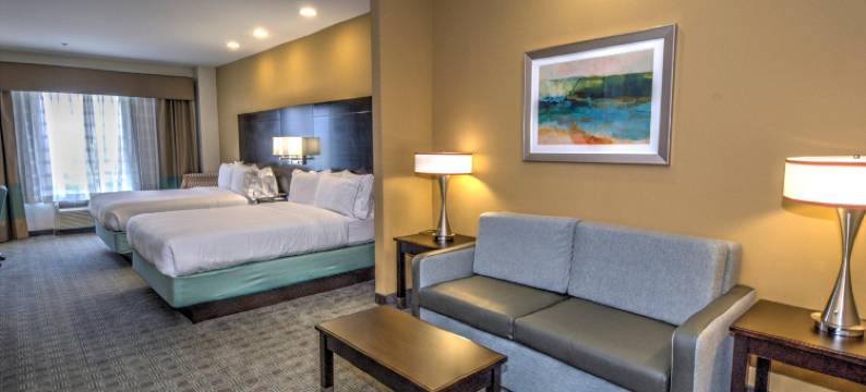 智选假日套房酒店甸南(Holiday Inn Express & Suites AUSTIN SOUTH by IHG)图片