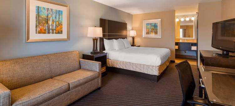 纽波特口贝斯特韦斯特酒店(Best Western Newport Inn)图片
