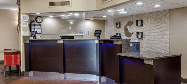 舒适酒店(Comfort Inn)图片