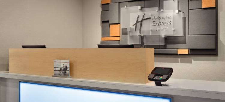 拉伏尼亚智选假日酒店(Holiday Inn Express & Suites LAVONIA by IHG)图片