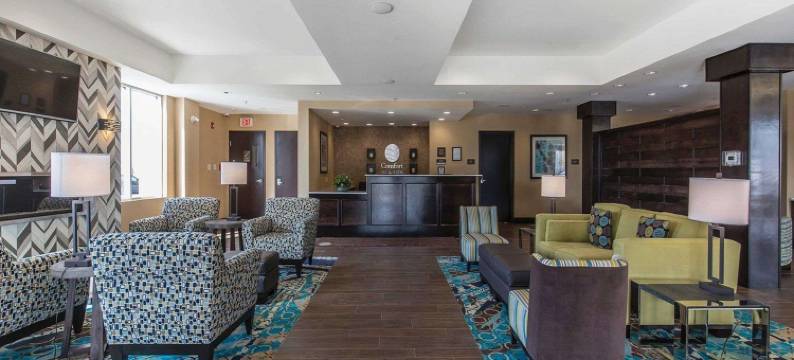 舒适酒店及套房-机场北(Comfort Inn & Suites Airport North)图片