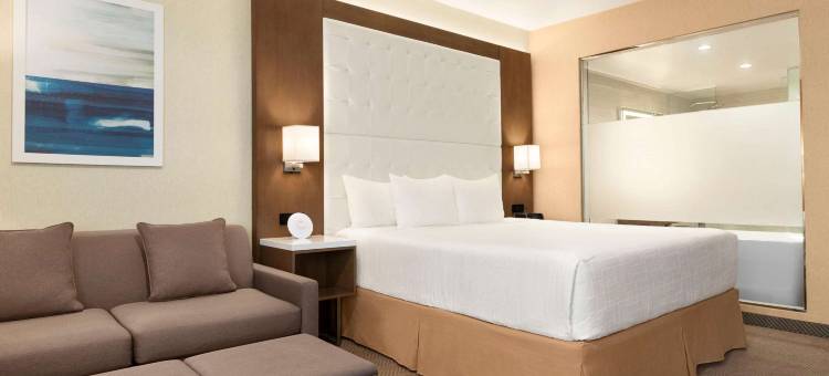 阿纳海姆温德姆酒店(Wyndham Anaheim)图片