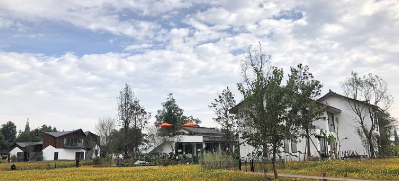 大邑安之若宿精品民宿图片