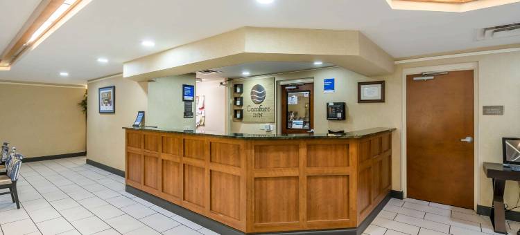 盖恩斯维尔大学舒适酒店(Comfort Inn University)图片