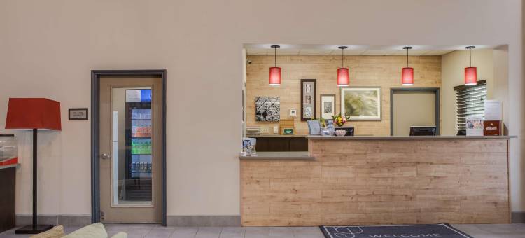 哈灵根丽怡酒店(Country Inn & Suites by Radisson, Harlingen, TX)图片