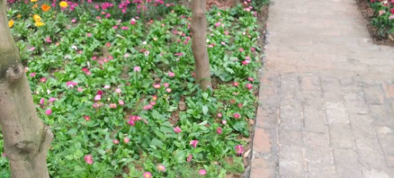 五丁谷民宿(凤雏路分店)图片