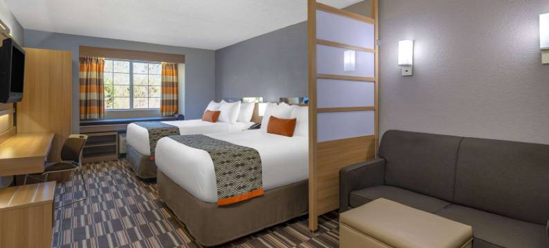 佛罗伦萨温德姆麦客达套房酒店(Microtel Inn & Suites by Wyndham Florence)图片