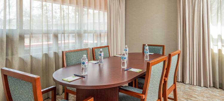 舒适酒店-西部(Comfort Inn West)图片