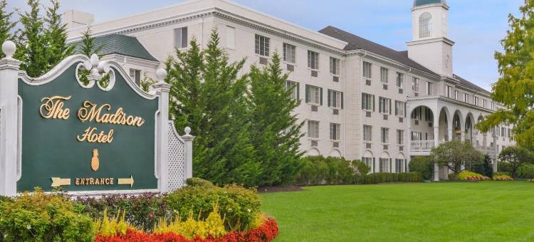麦迪逊酒店(The Madison Hotel)图片