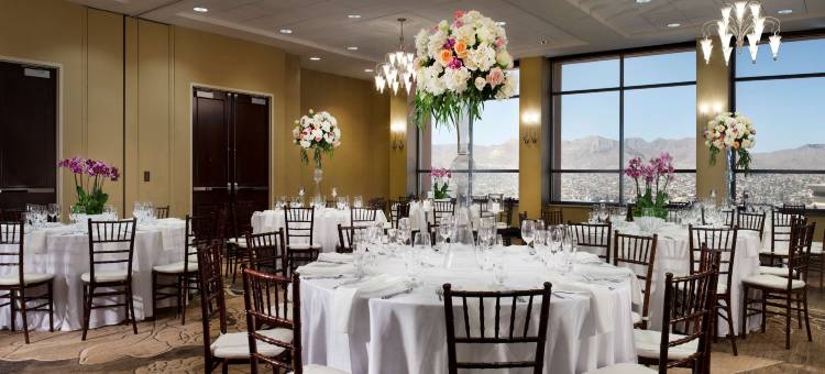 埃尔帕索市中心希尔顿逸林酒店(DoubleTree by Hilton Hotel El Paso Downtown)图片