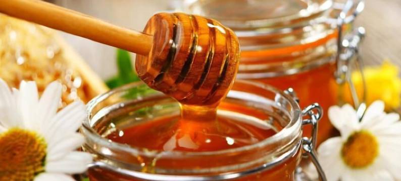 大洋酒店(Hotel l'Oceane)图片