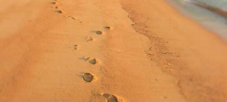 伊甸边缘旅馆(Eden's Edge Lodge)图片