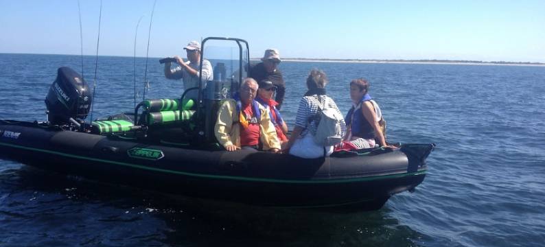 雷岛酒店(Hôtel Ile de Ré)图片