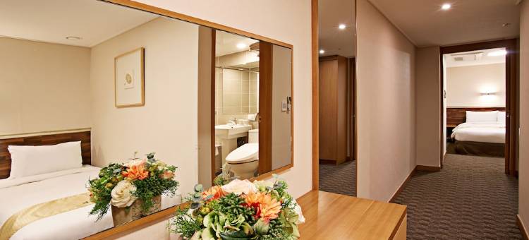 天空花园酒店明洞1号店(Hotel Skypark Myeongdong 1)图片