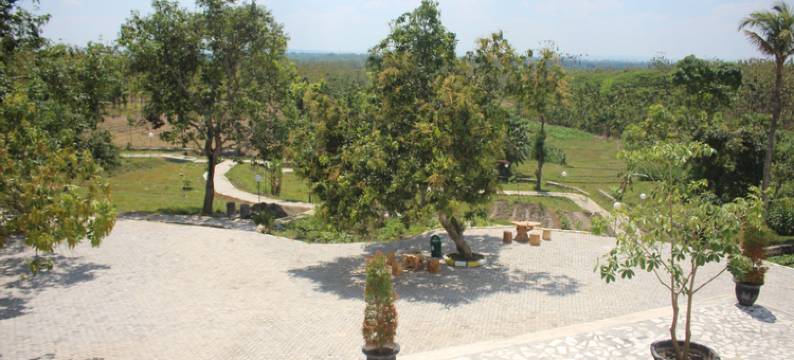 塞普酒店(Same Hotel Cepu)图片