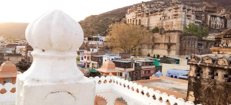 哈维利塔拉加尔宫酒店(Haveli Taragarh Palace)图片