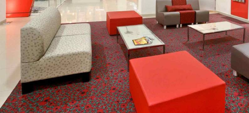 宜必思快捷阿瓜斯卡连特斯(Ibis Budget Aguascalientes)图片