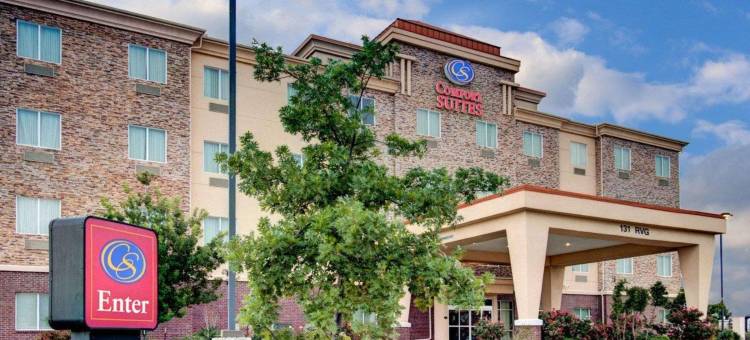 沃克西哈奇-达拉斯舒适套房酒店(Comfort Suites Waxahachie - Dallas)图片