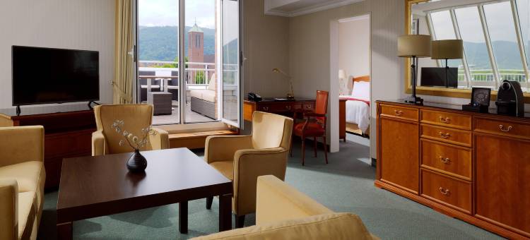 海德堡万豪酒店(Heidelberg Marriott Hotel)图片