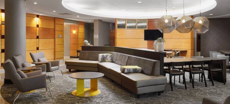 土耳其溪诺克斯维尔万豪SpringHill酒店(SpringHill Suites Knoxville at Turkey Creek)图片