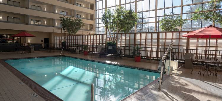 DFW机场中庭套房酒店(Atrium Hotel and Suites DFW Airport)图片