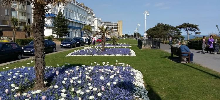 威克里夫酒店(The Wycliffe)图片