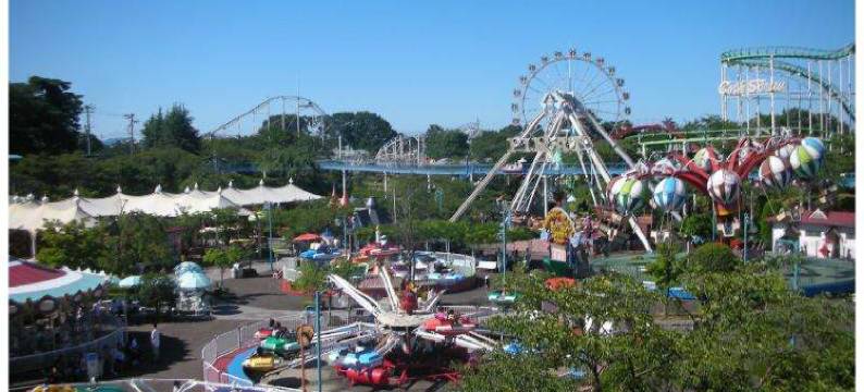 绿色凉棚酒店(Hotel Green Arbor)图片