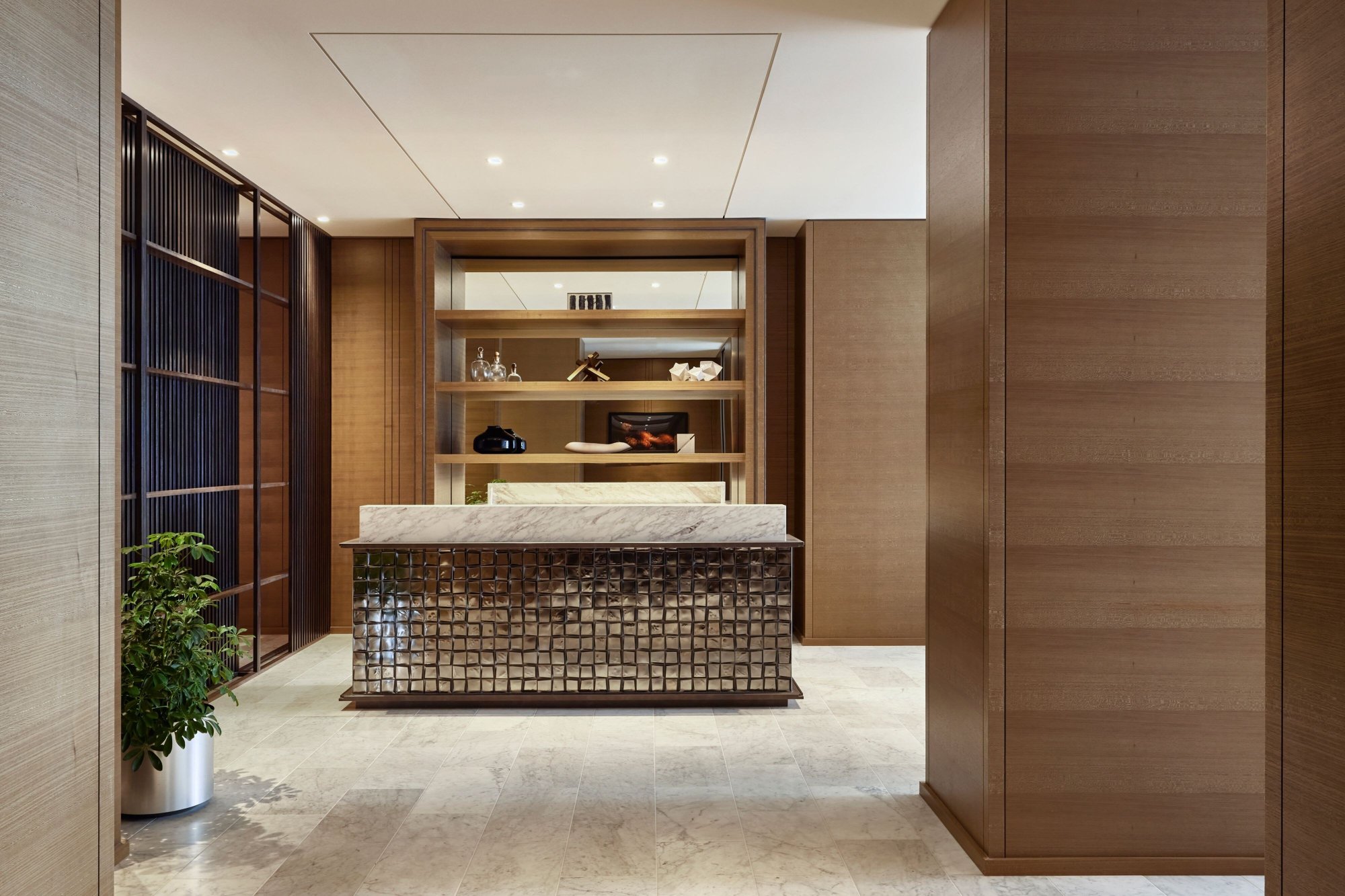 The St. Regis Chicago Over view