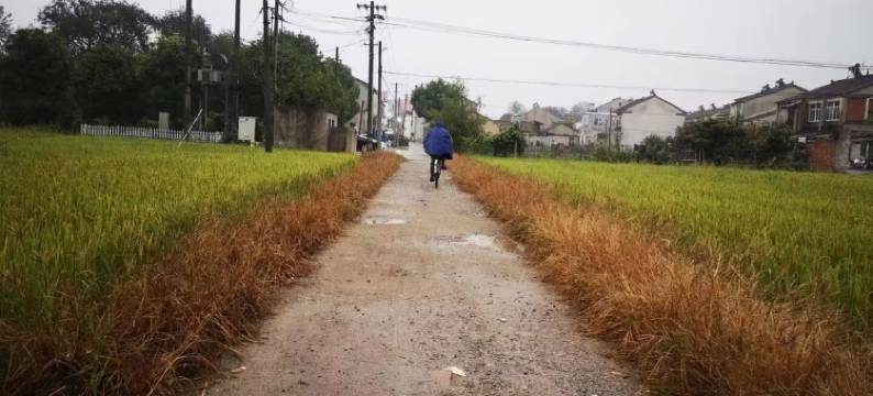 李梅芳客栈(货站路1号分店)图片