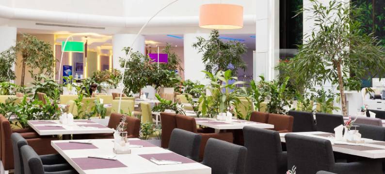 莫斯科谢列梅捷沃机场诺富特(Novotel Moscow Sheremetyevo Airport)图片