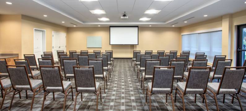 底特律贝尔维尔TownePlace Suites酒店(TownePlace Suites Detroit Belleville)图片