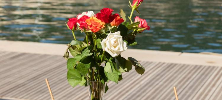 杜罗迪阿拉冈贝斯特韦斯特酒店(Best Western Hotel du Roy DAragon)图片