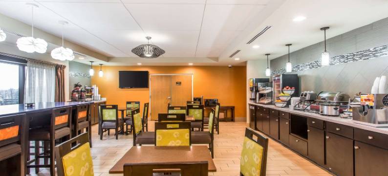 库克维尔舒适套房酒店(Comfort Inn & Suites Cookeville)图片