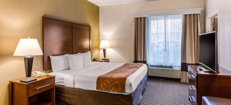 万豪City Express埃尔克里奇酒店(City Express by Marriott Elkridge)图片