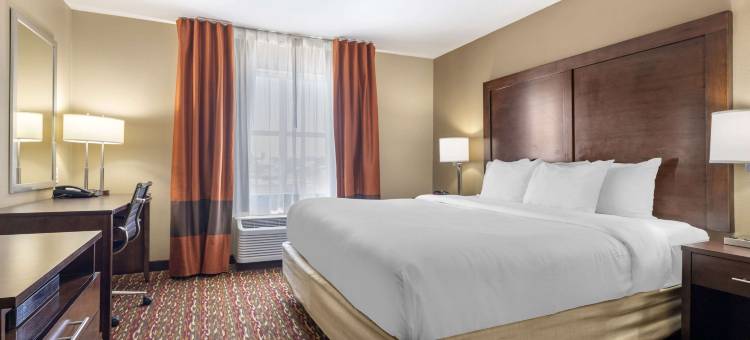 阿尔特西亚舒适酒店及套房(Comfort Inn &amp; Suites Artesia)图片