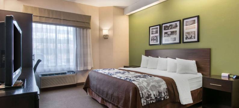 卡莱尔南舒眠旅馆(Sleep Inn Carlisle South)图片