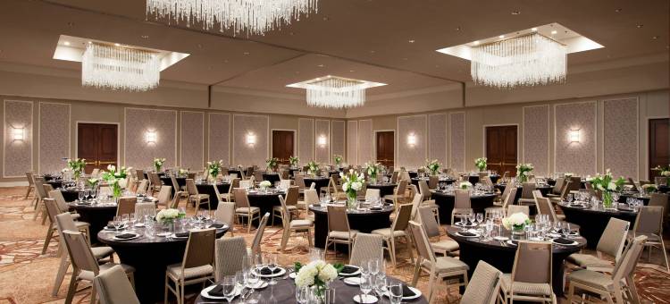 麦金尼喜来登酒店(Sheraton McKinney Hotel)图片