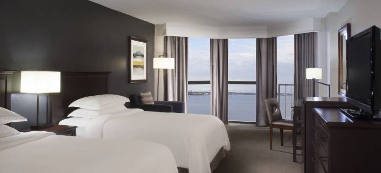 休斯顿希尔顿纳萨克利尔莱克酒店(Hilton Houston NASA Clear Lake)图片