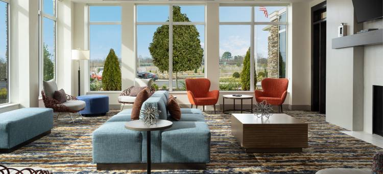 密西西比奥利夫布兰奇希尔顿花园酒店(Hilton Garden Inn Olive Branch)图片