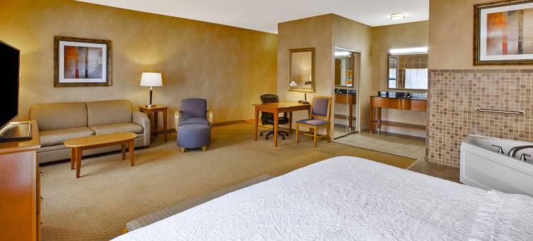 希尔顿欢朋酒店-底特律尤蒂卡谢尔比镇(Hampton Inn Detroit/Utica-Shelby Township)图片